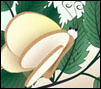 bread-and-butterfly